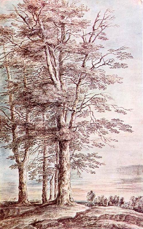 UDEN, Lucas van Landscape with Tall Trees dg